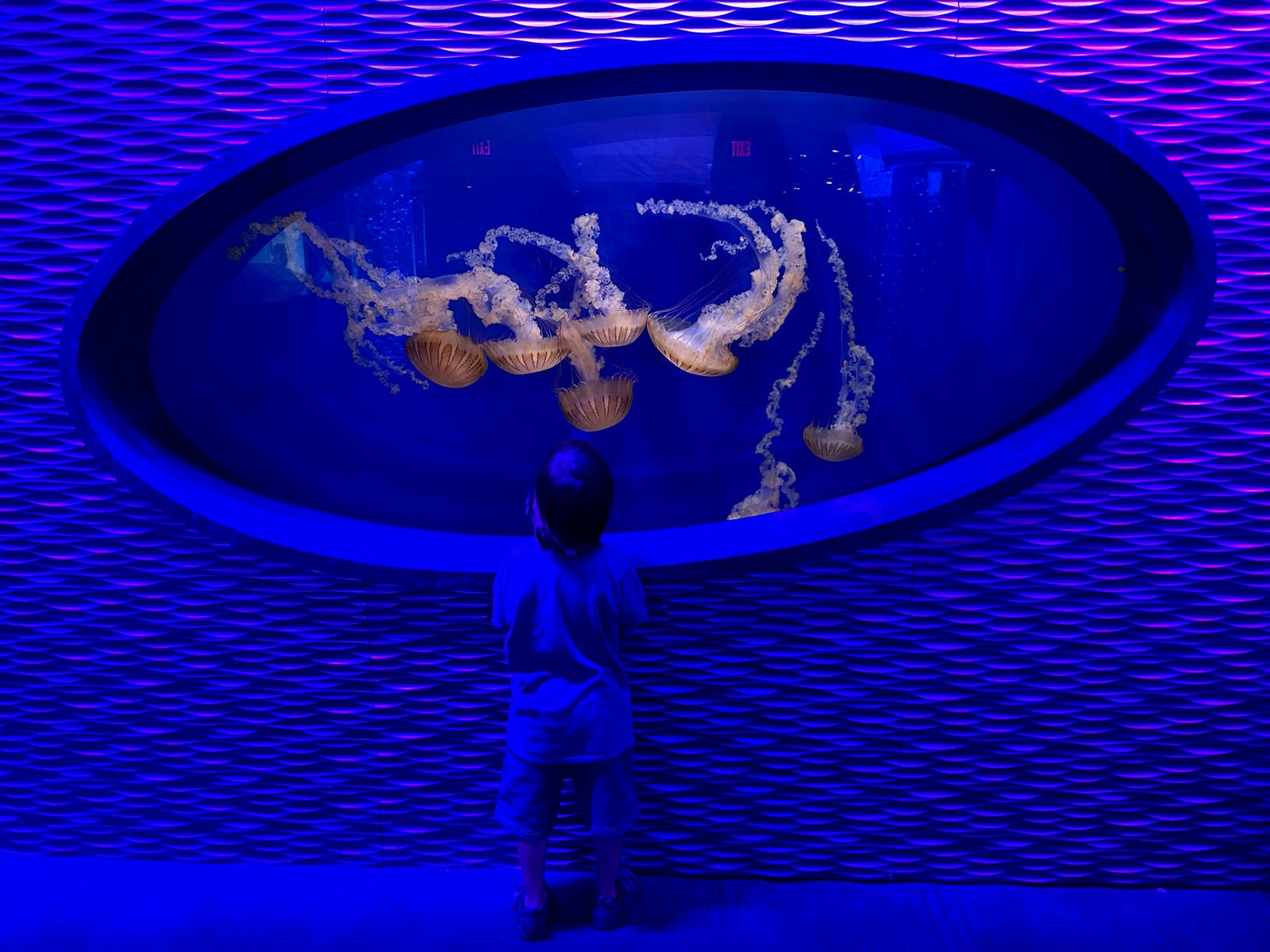 Breezing through the long summer break